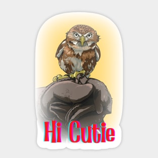 Hi Cutie Lovely Little Owl Design for all Owl Lovers and collectors of Owl Gifts Sticker